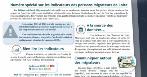 N24_paroles_de_migrateurs1